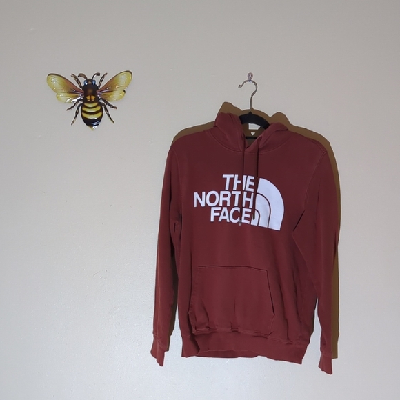 The North Face Other - The North Face Men's Maroon Hoodie